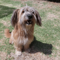 LILO